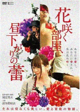91视频一区 肖申克的救赎 影评